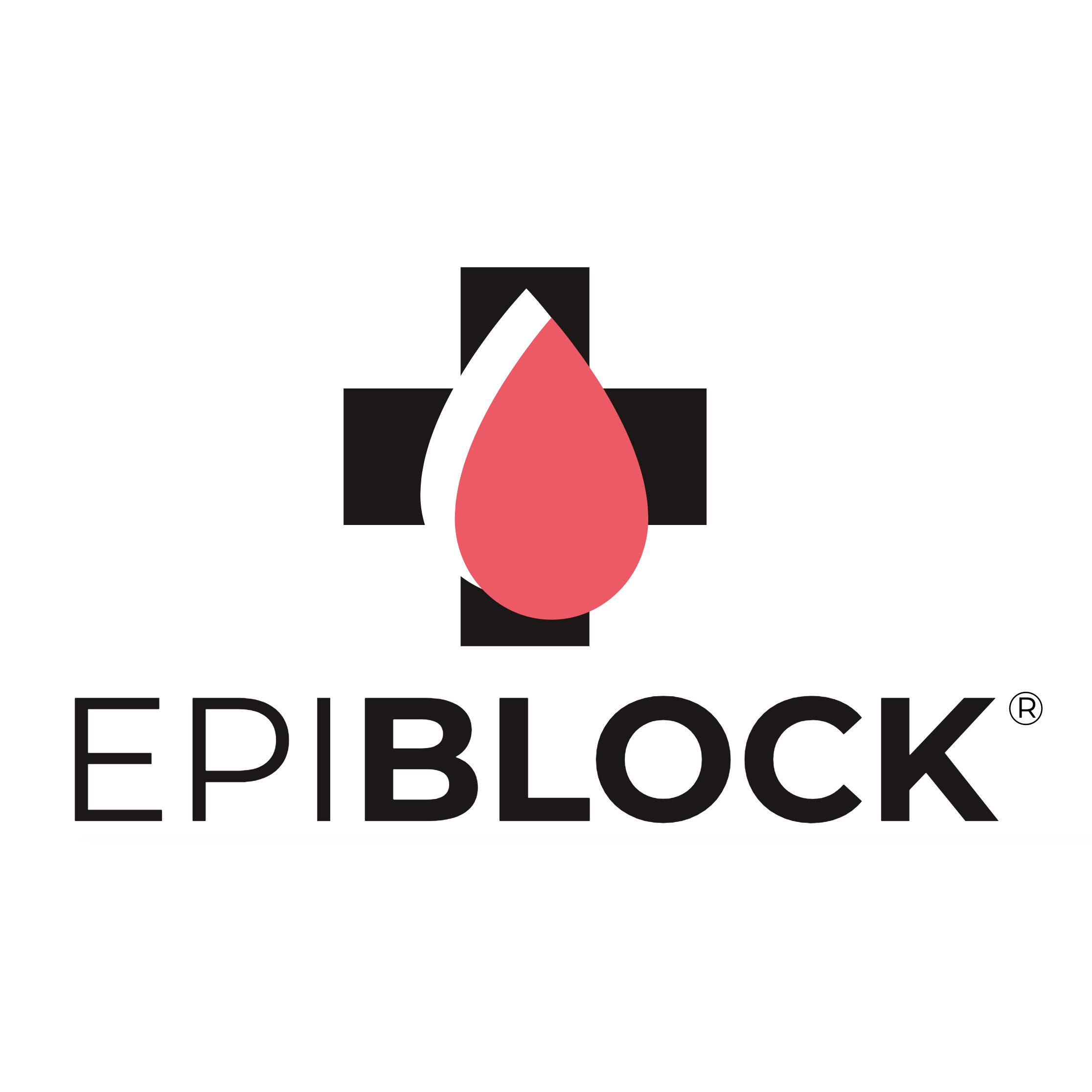 Epiblock - University of St. Thomas