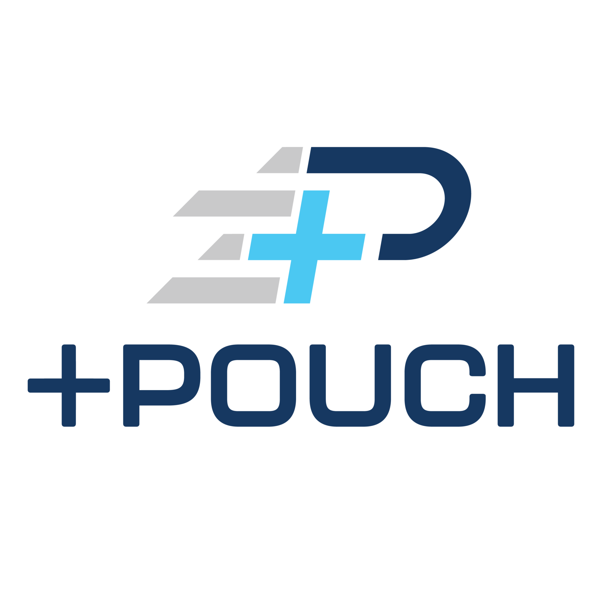Plus Pouch