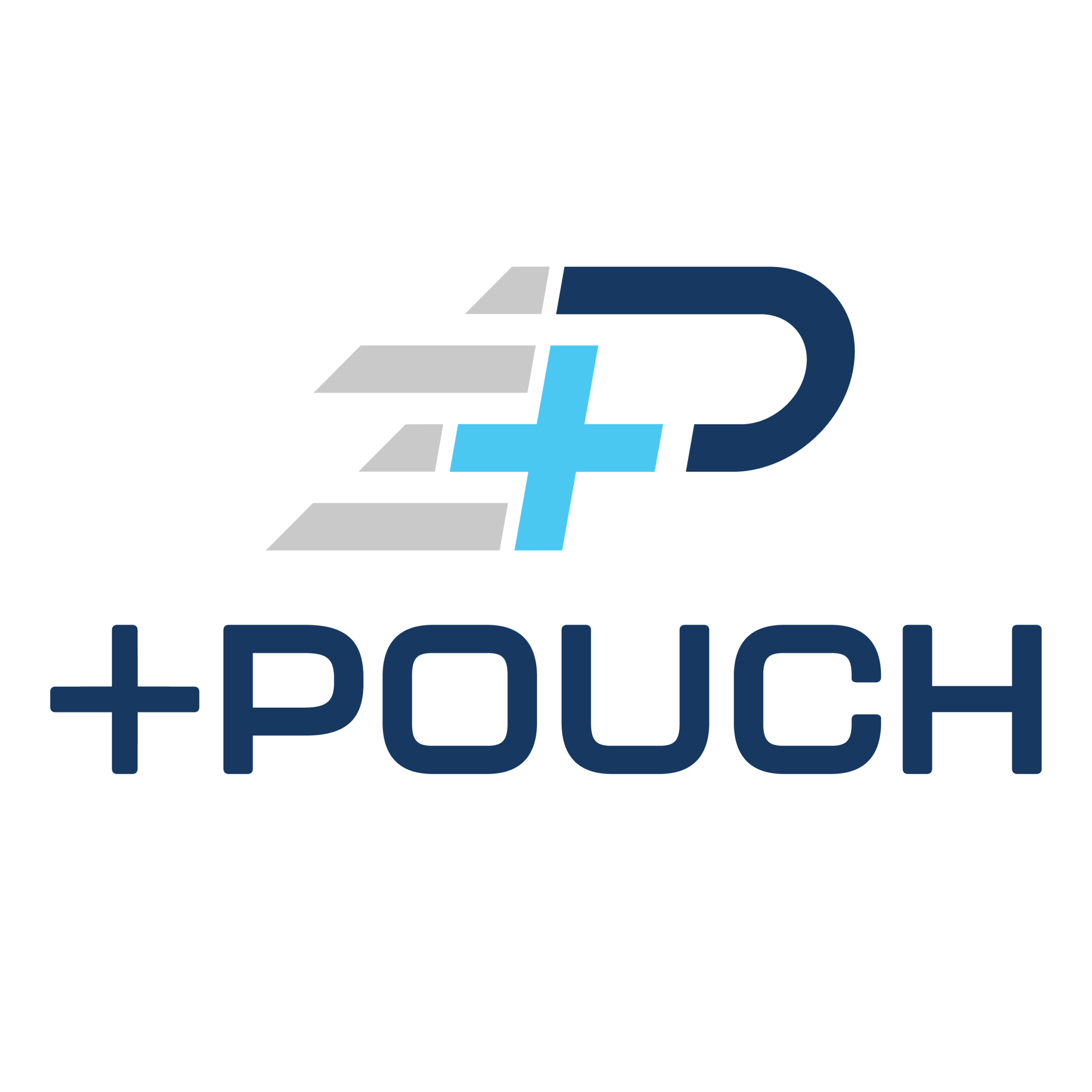 Plus Pouch